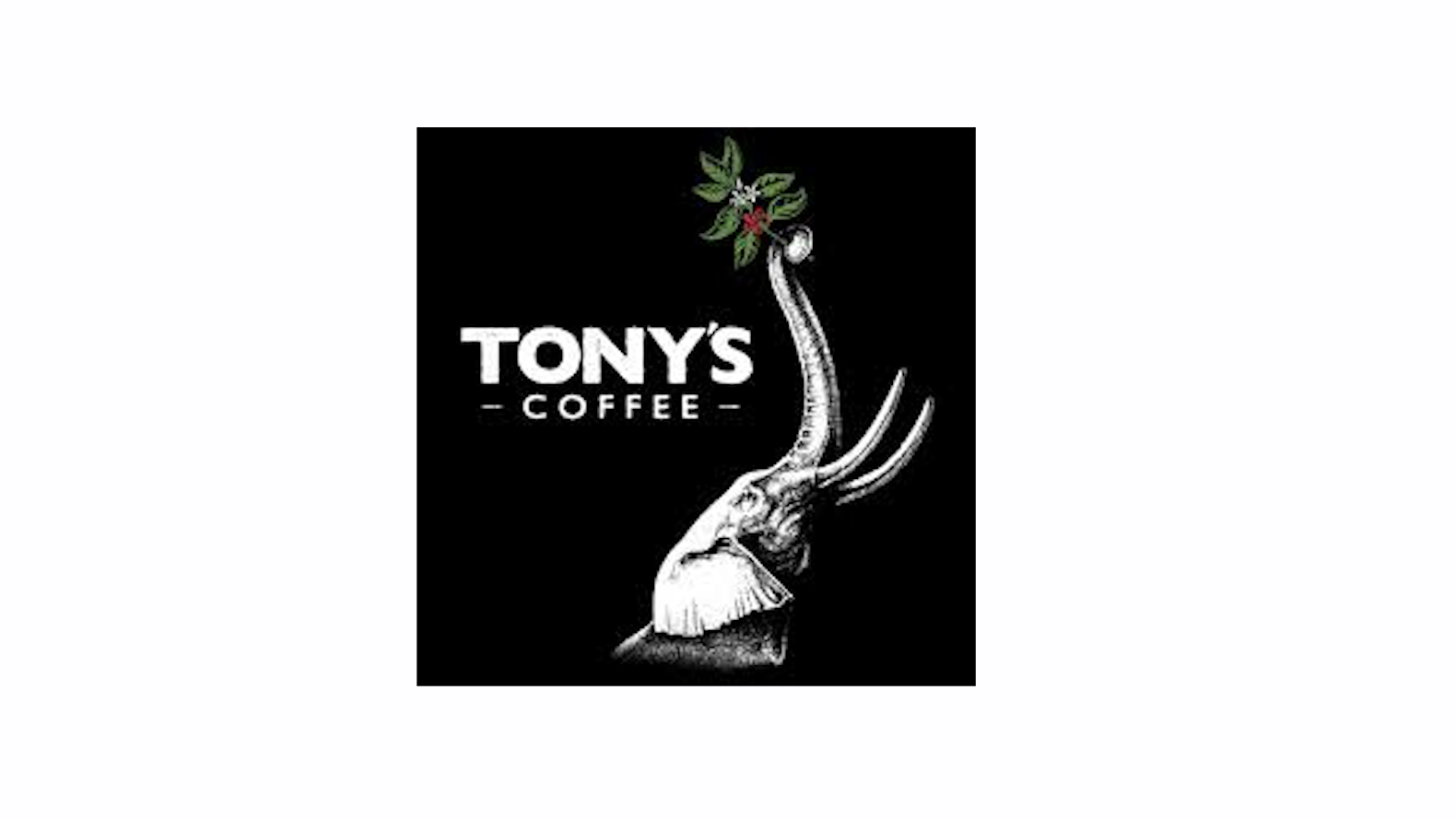 Screen Shot 2020 10 27 At 11 10 50 Am 5f98469770f04