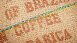 Little relief in sight for coffee producers, OCS operators Little relief in sight for coffee producers, OCS operators