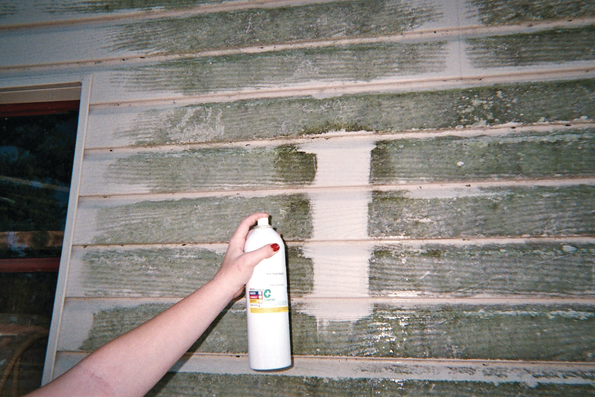 Biocleanspray 10128944