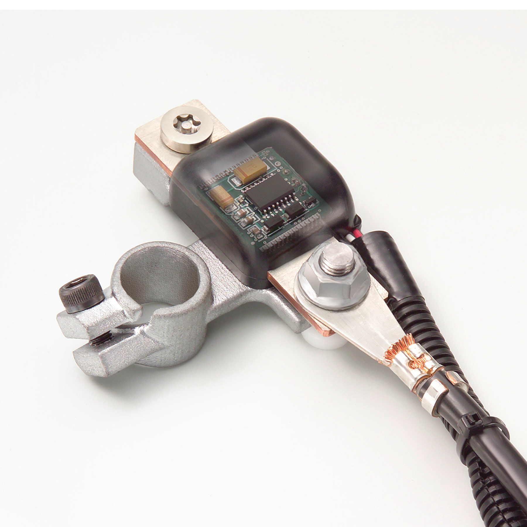 Batterymonitor 10129338