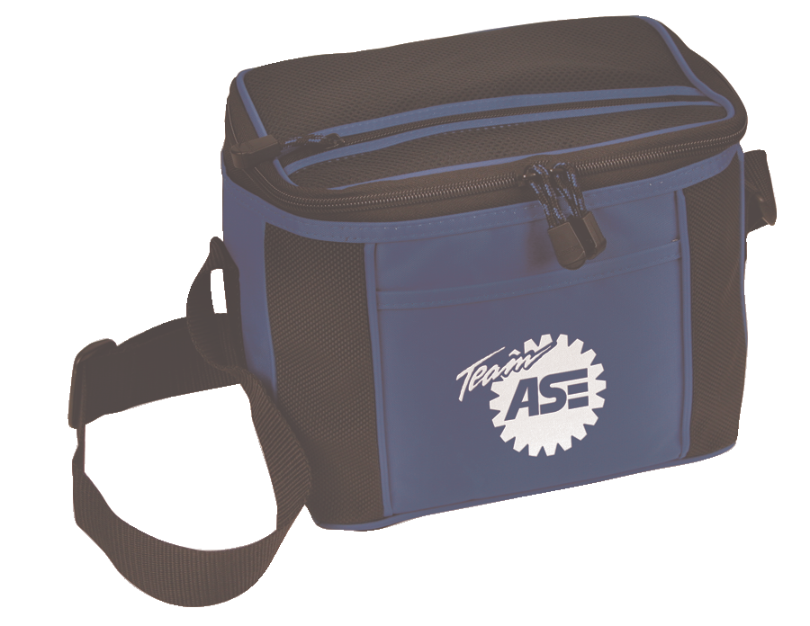 Insulatedlunchcooler 10096566