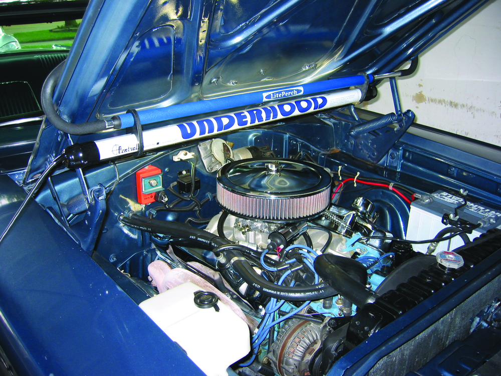 Centraltoolsunderhoodlightno13 10251780