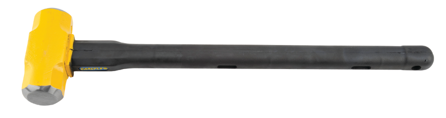 Chthsh1430 1 11515030