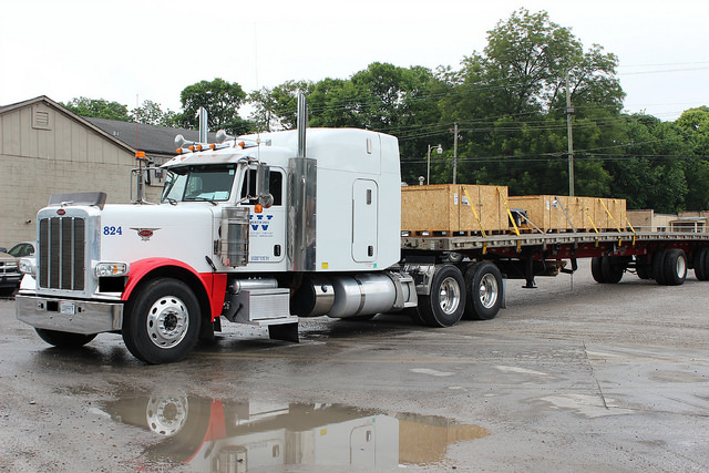 14957411331 3988116116 Z