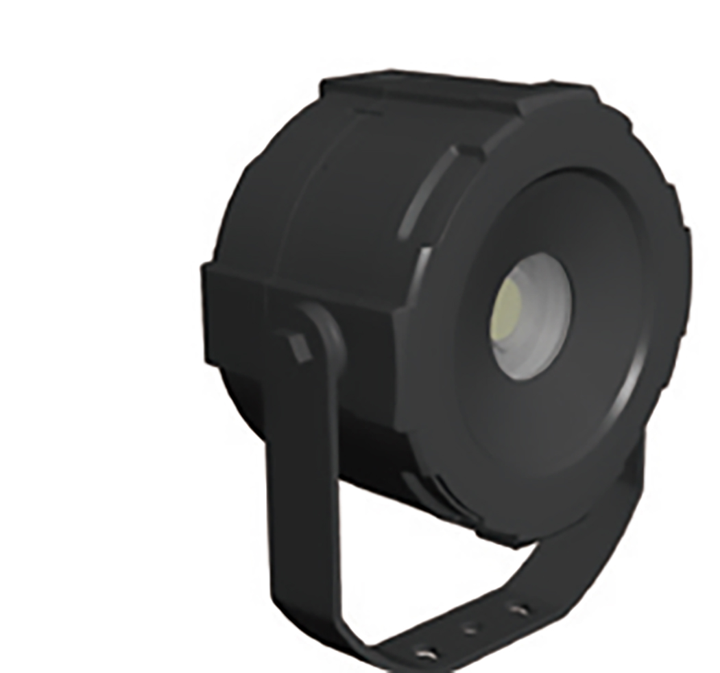 Palm Light Hi Res 56b360f4b2ae9