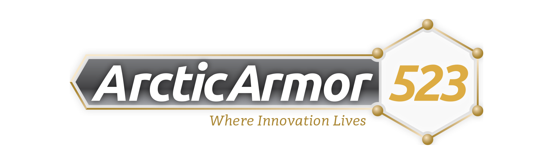 Arctic Armor Logo Final