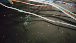 Figure 5- This compromised wire is the reason the water ingress created the voltage drop and left the system inoperable. Figure 5- This compromised wire is the reason the water ingress created the voltage drop and left the system inoperable.