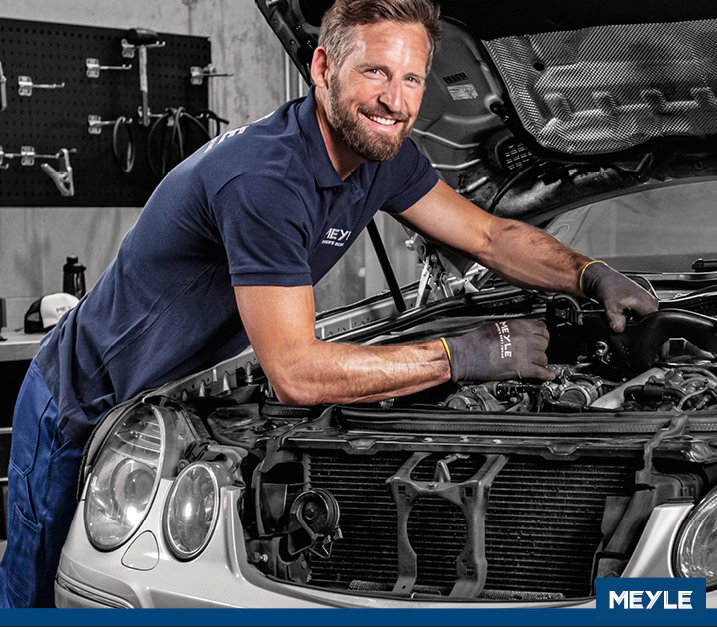 Meyle 2