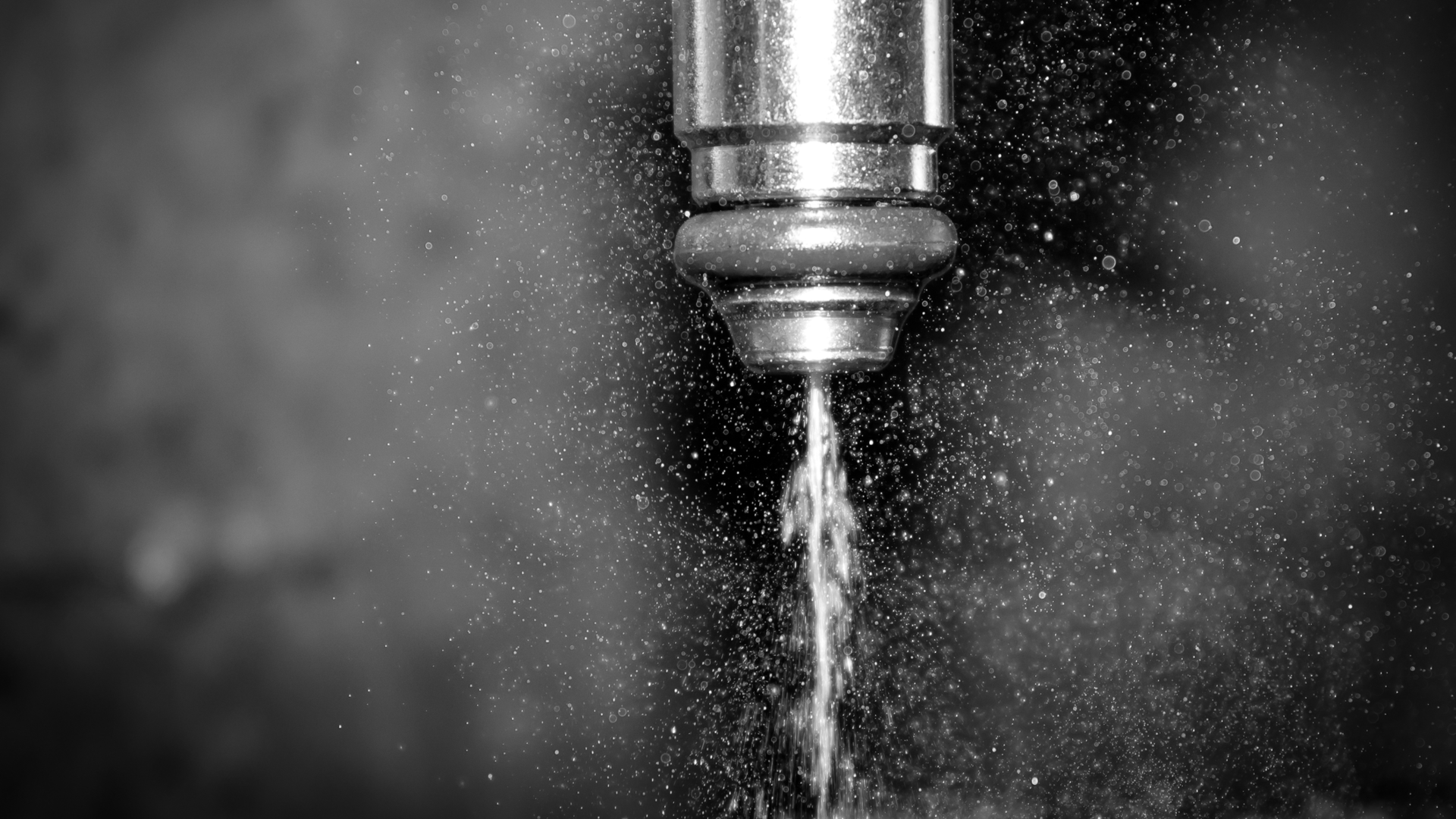 Dreamstime M 129670417 646e1f2150b3b