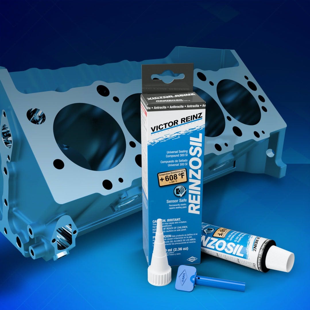 65b832ddb8c992001ecccf40 Reinzosilcover608v1