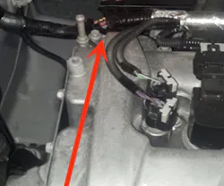 65b840ae23e388001e824d68 Rubbedthewrongway 65b840ae23e388001e824d68 Rubbedthewrongway