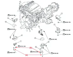 65b8443736a5b3001e2c9ce6 Suzukiequatorvibration 65b8443736a5b3001e2c9ce6 Suzukiequatorvibration