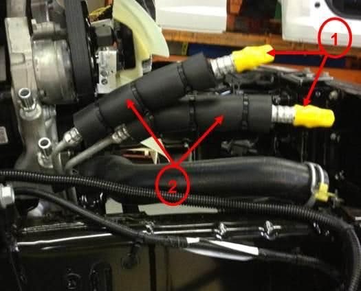 65b8526ddd28ac001e273e09 Hummingram