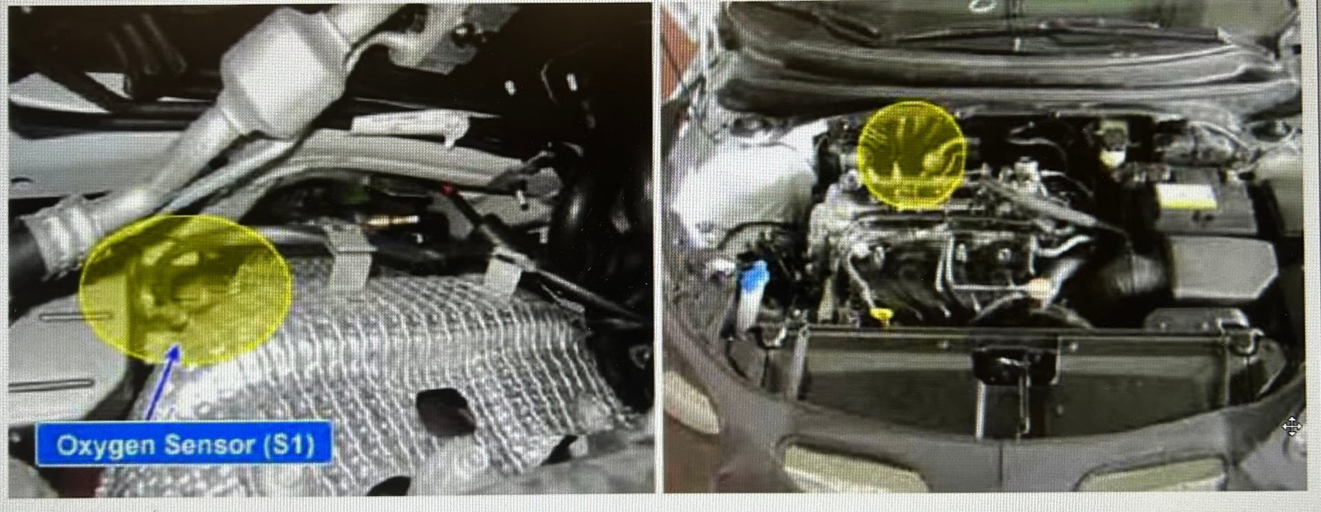 Location of oxygen sensor S1.