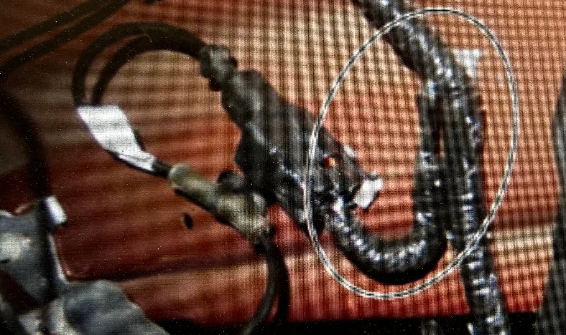 Remove the tape and convolute around the take-out to connector C1668 and C1669.