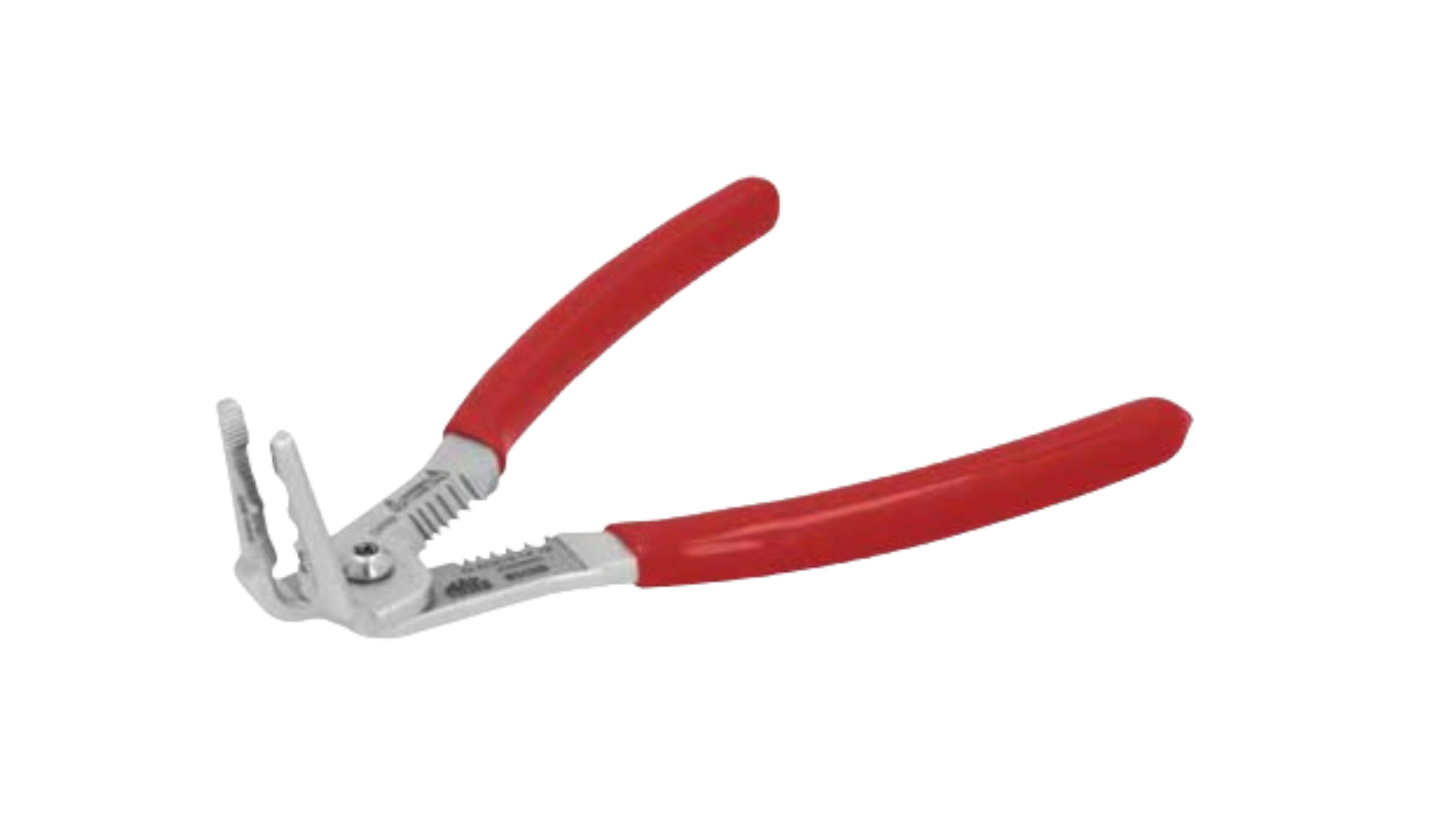 untitled_design__20240412t144242