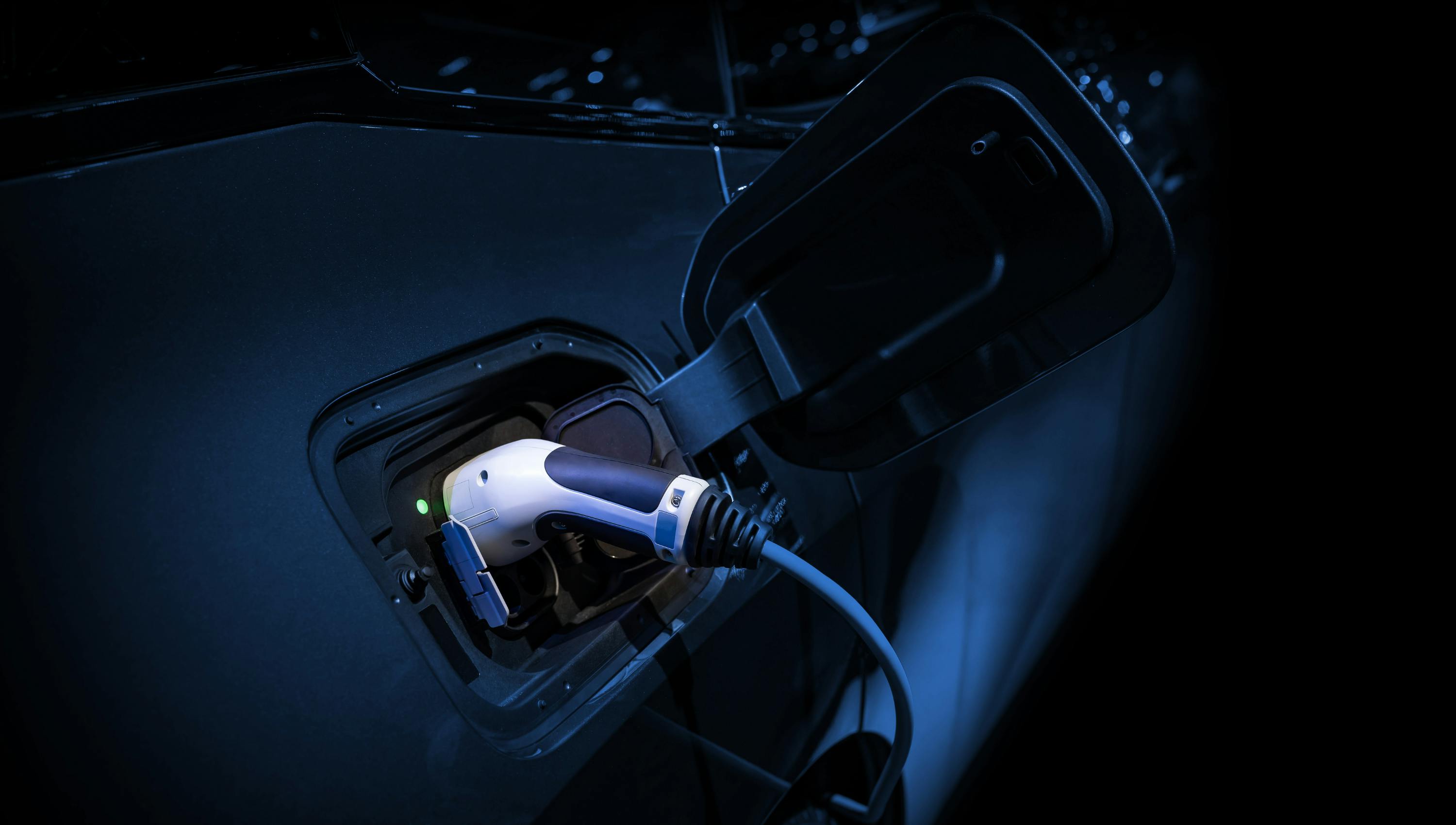 66c398394f675814565eab25 Ru 81