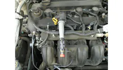 67250644fec9354b4706e4eb Untitled Design 20241101t124735 67250644fec9354b4706e4eb Untitled Design 20241101t124735