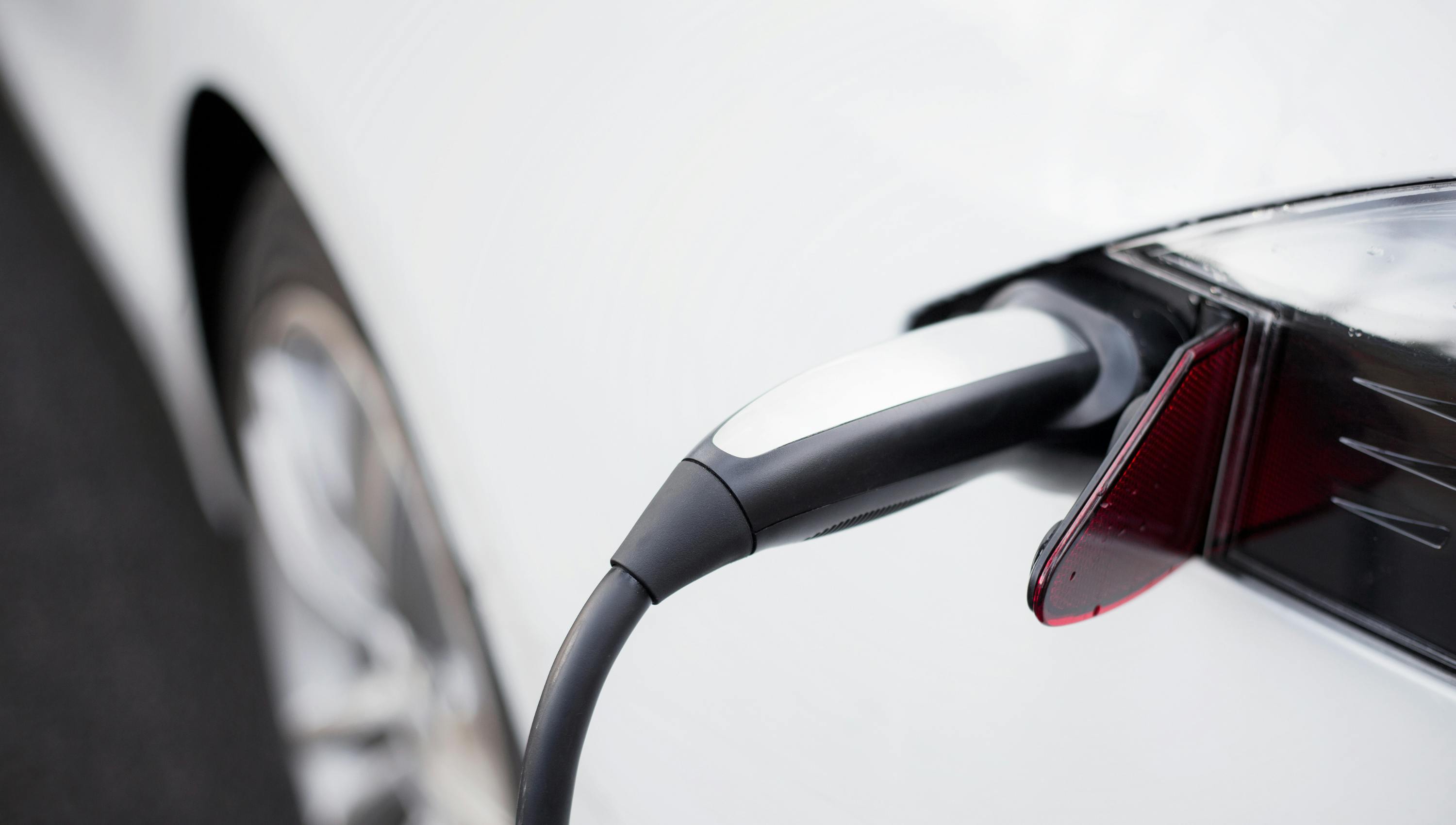 untitled_design__20241114t100154