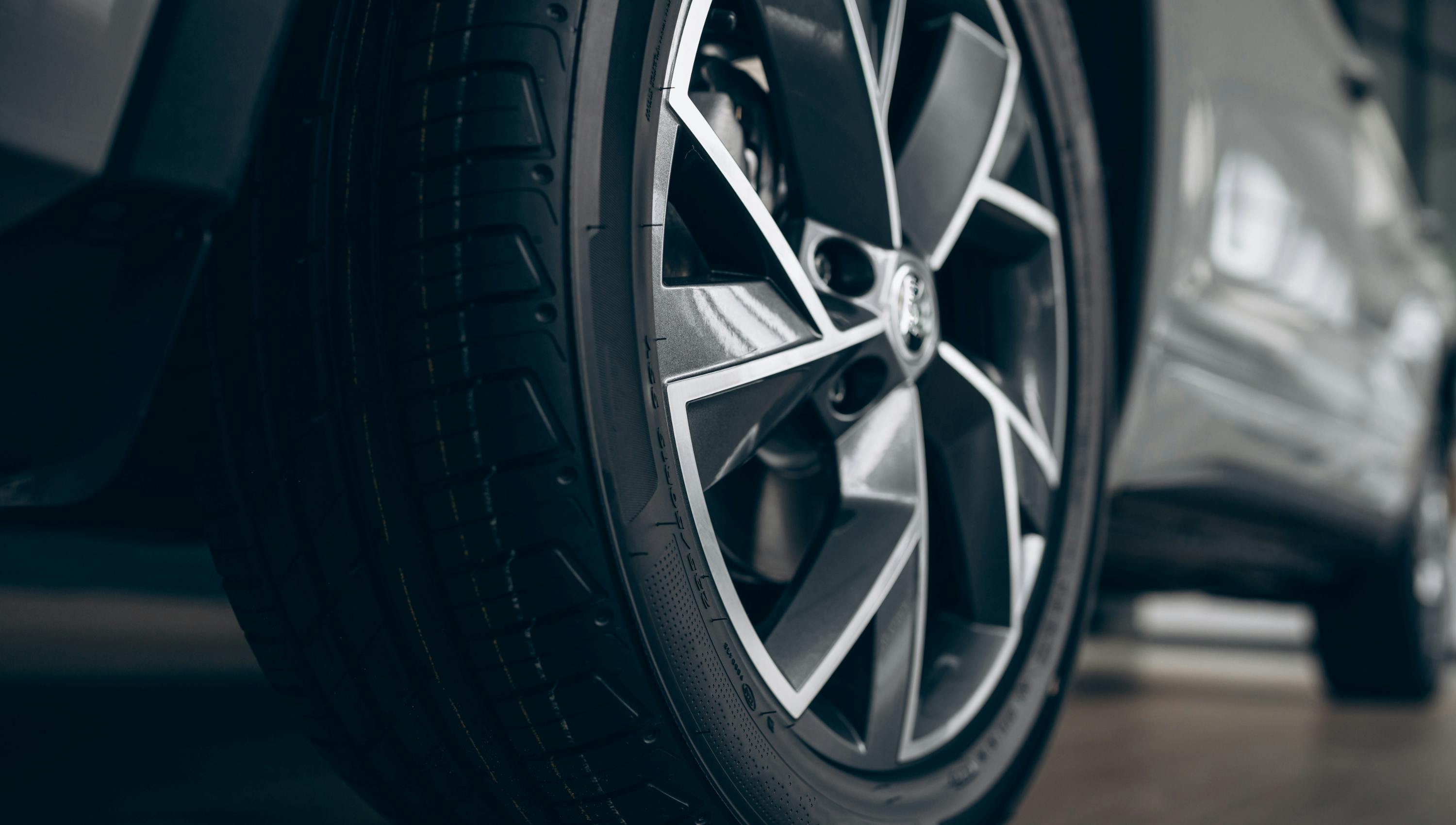 untitled_design__20241122t145153