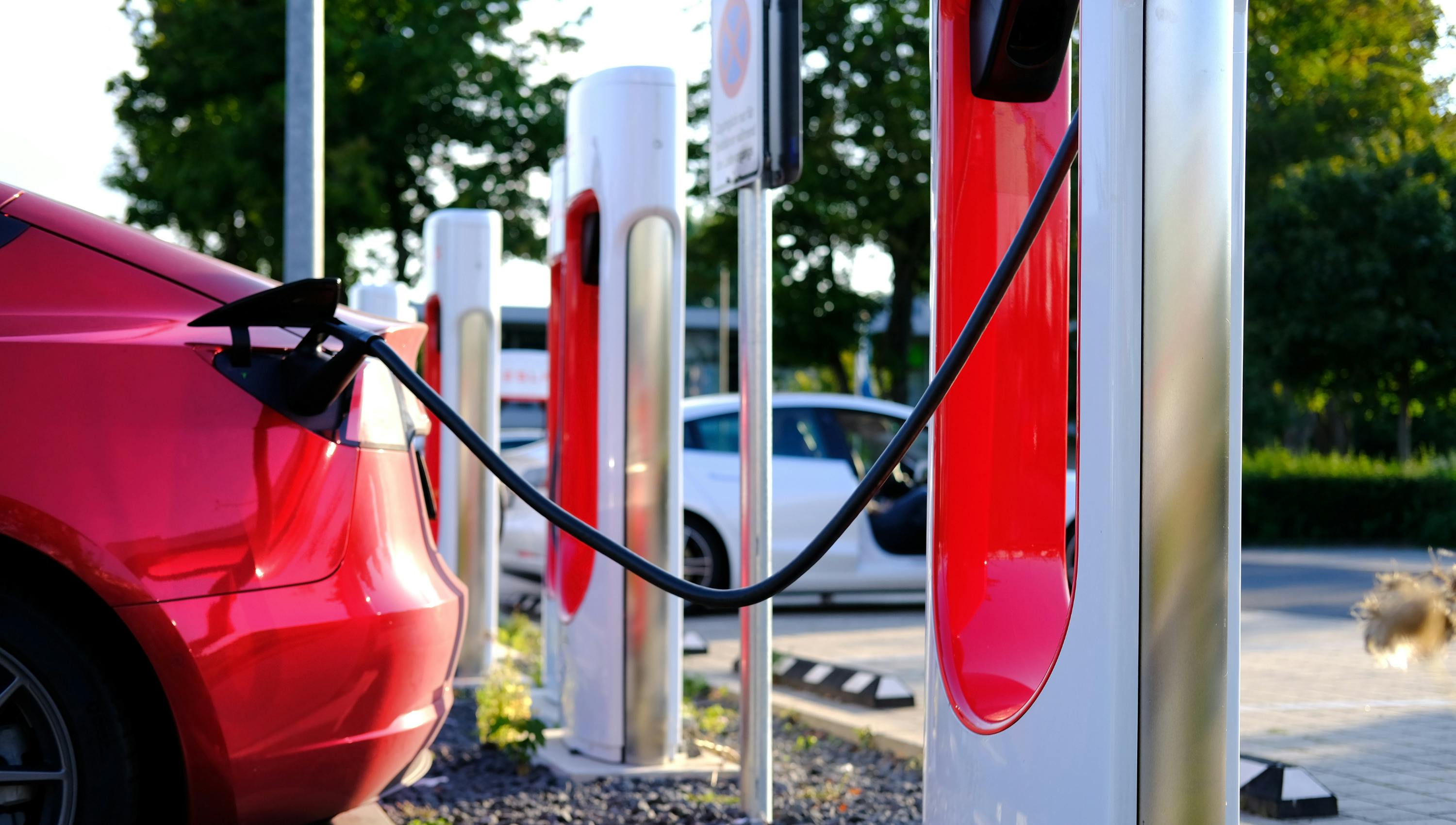 untitled_design__20241220t112436