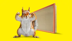 67dc06bc5ad3c3a923e870e5 Mh Squirrel 67dc06bc5ad3c3a923e870e5 Mh Squirrel