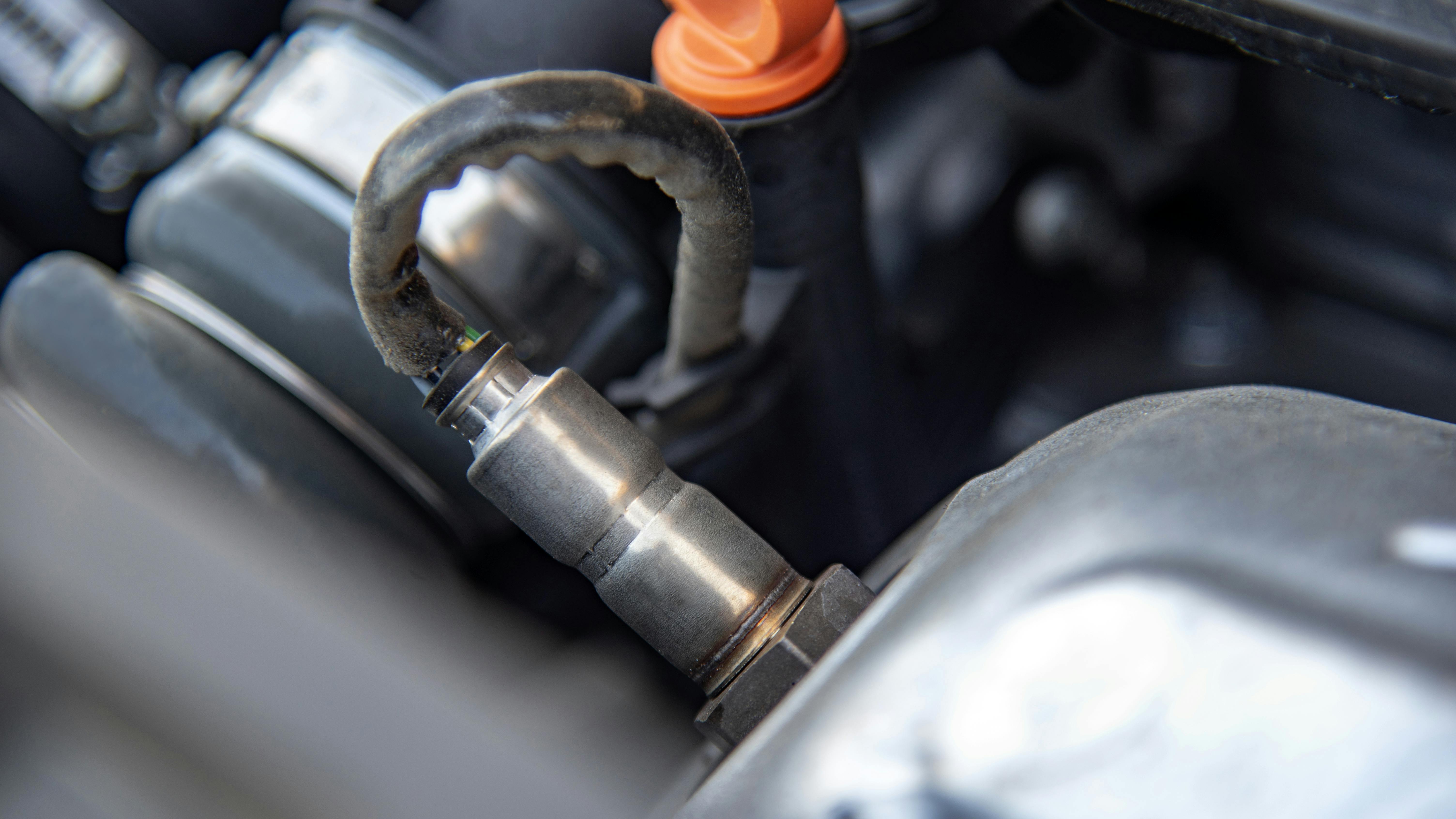 67f7eaa133d62016335fa6a2 Algrex3aistockx3agettyimagesplus