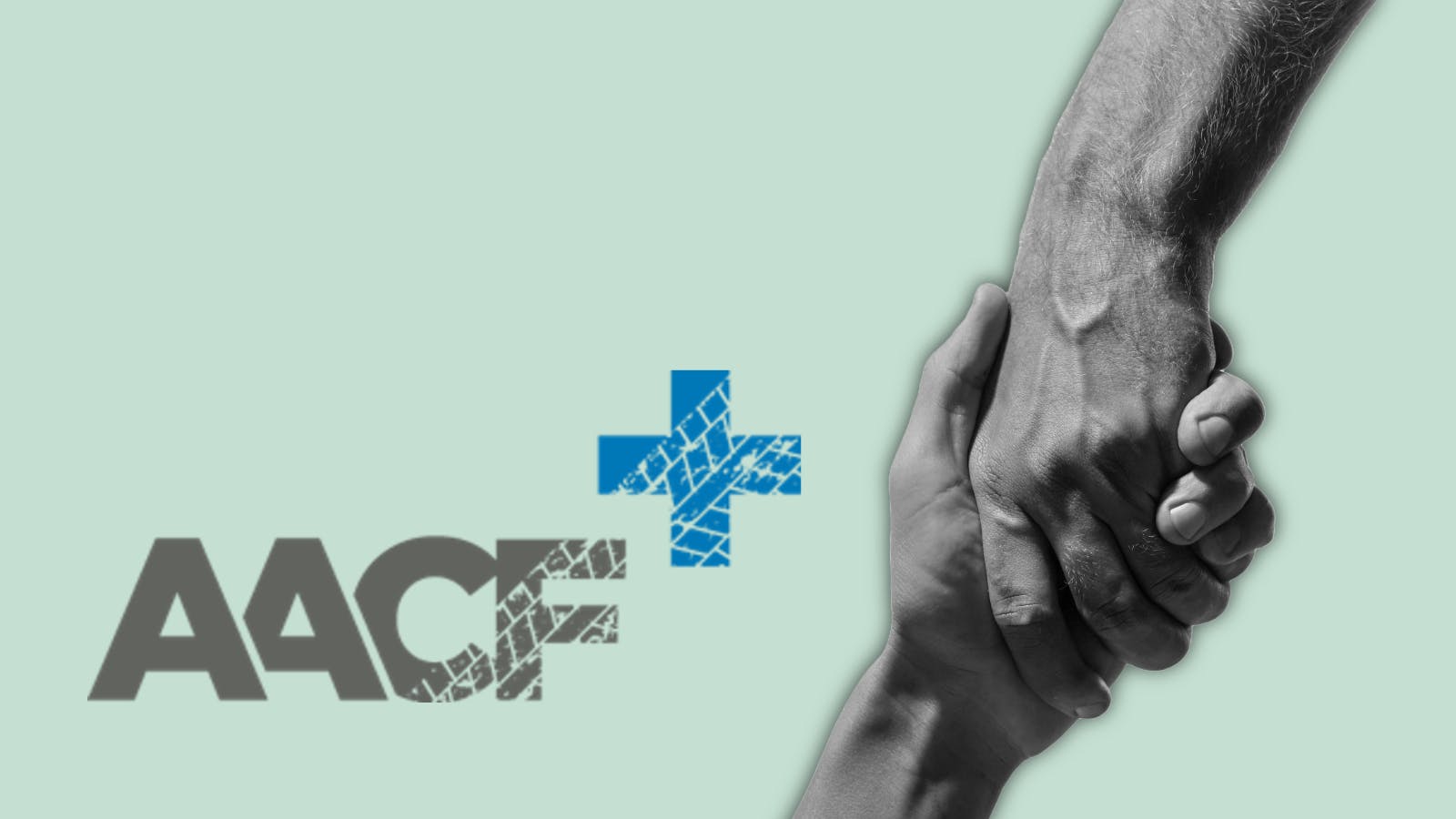 6837c68099d1235e31c5dc71 Aacf1cassie