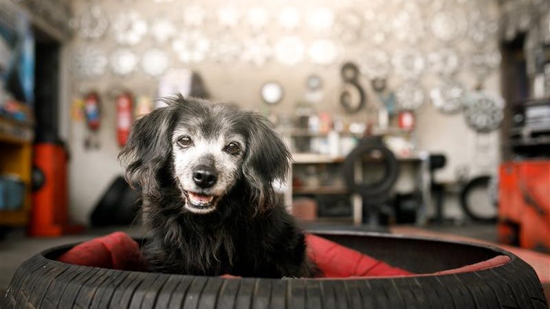 gettyimages1172630947