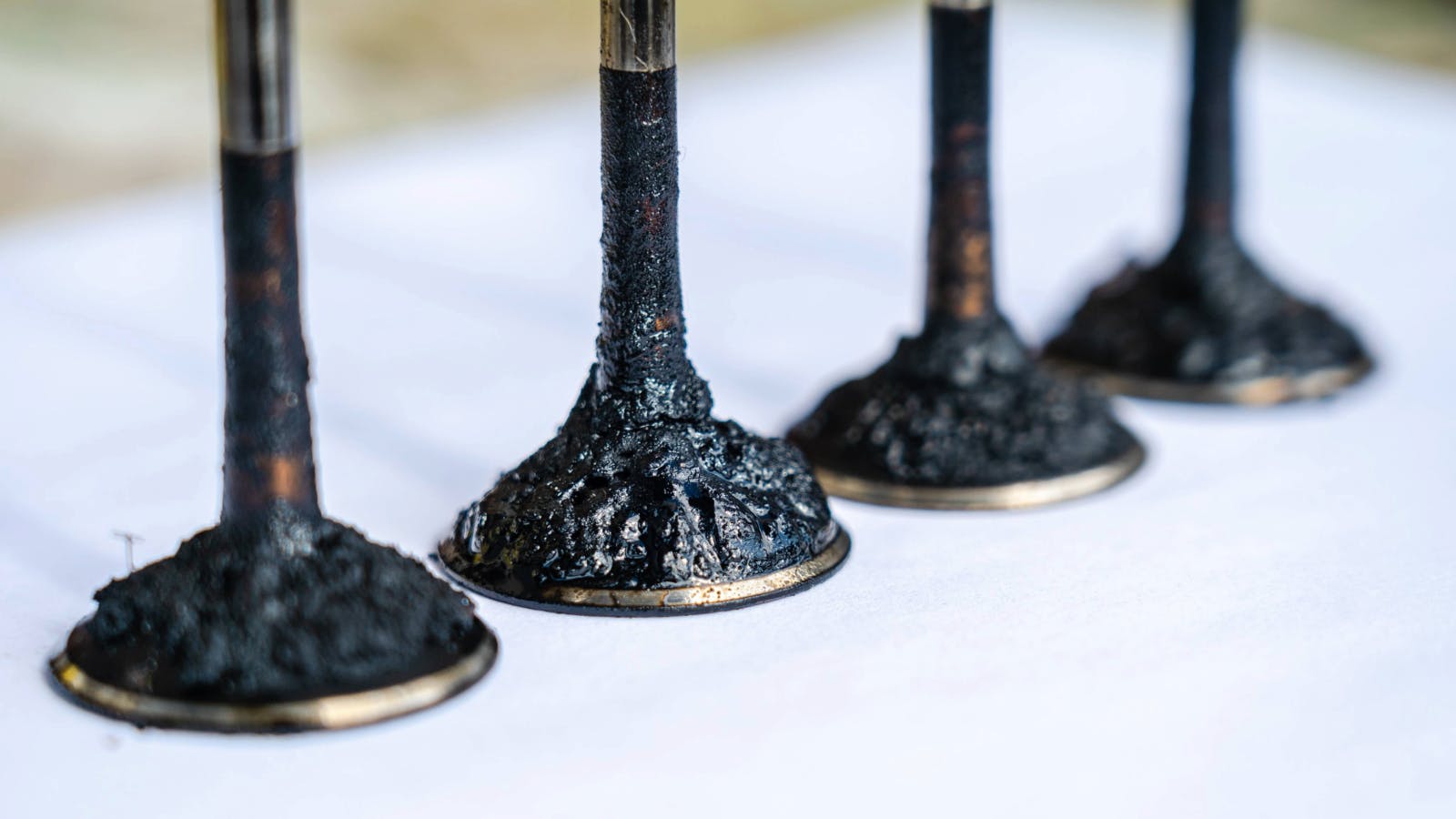 6912428abc2899eac01ac0bb December Ma Taylor