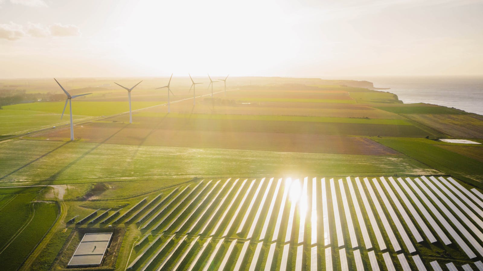 696fc87af3aa0ebe780d7276 Untitled 16