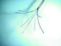 Image Image