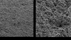 In their activated state the cylinder bore surfaces exhibit an optimal roughness for the thermal coating process In their activated state the cylinder bore surfaces exhibit an optimal roughness for the thermal coating process