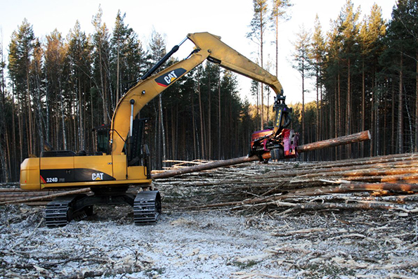 Caterpillarrsquos Forest Products division manufactures machinery and attachments used in timber harvesting loading and processing The plant closing in northcentral Wisconsin may be sold according to the OEM