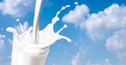 Pouring milk / making a splash. Pouring milk / making a splash.