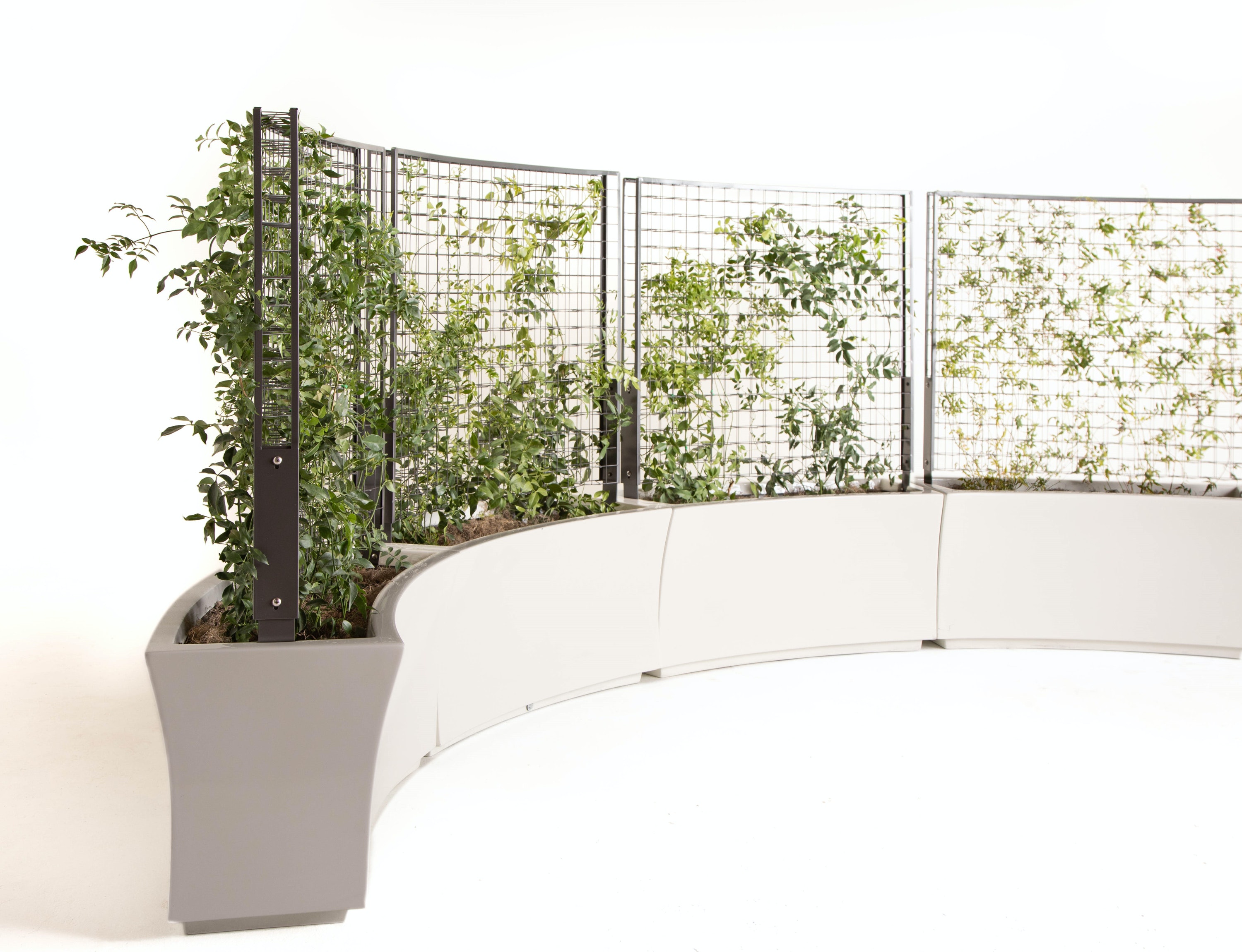 1656016696661 2111appia37mza 0