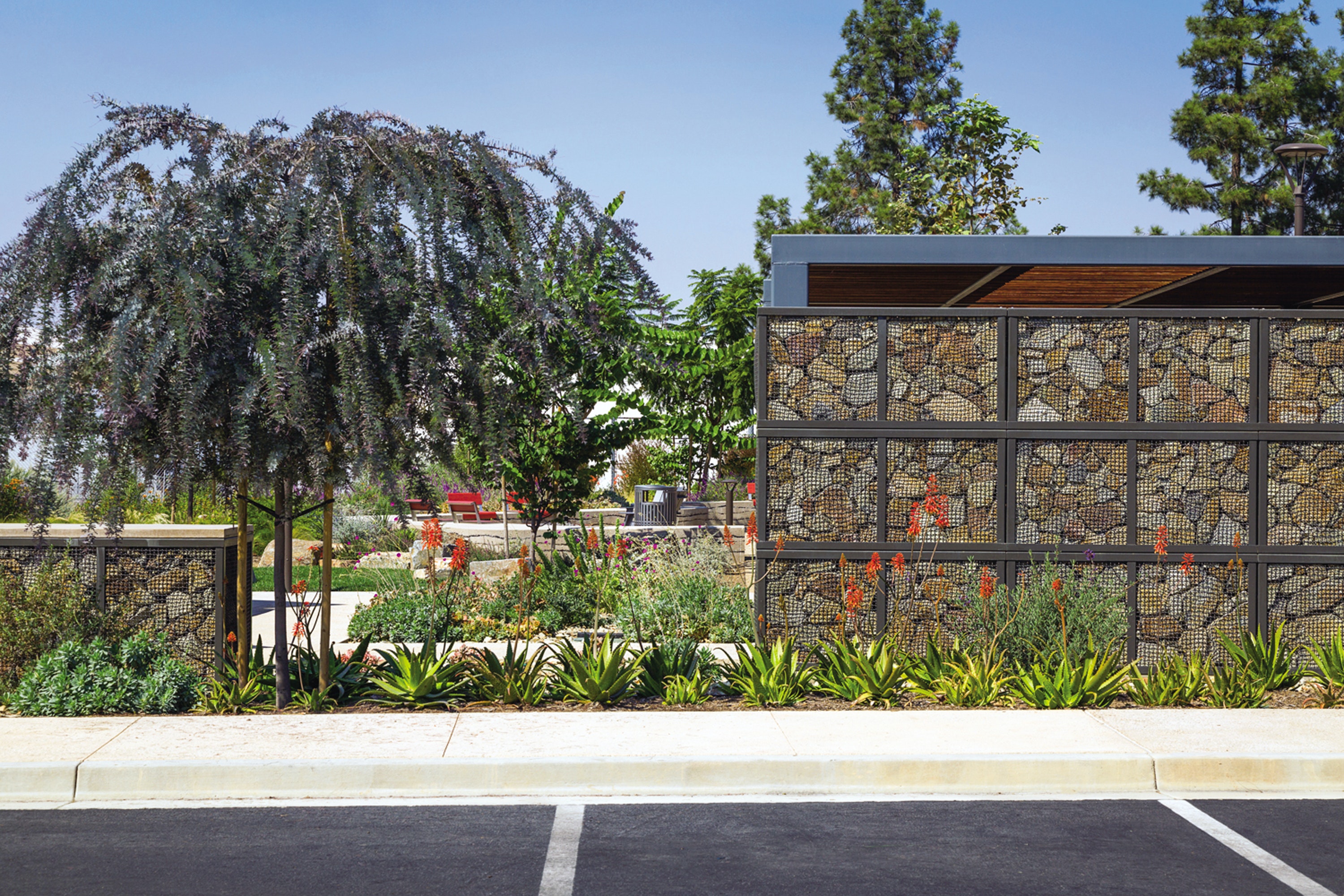 1656023268405 1810apprdmm06e