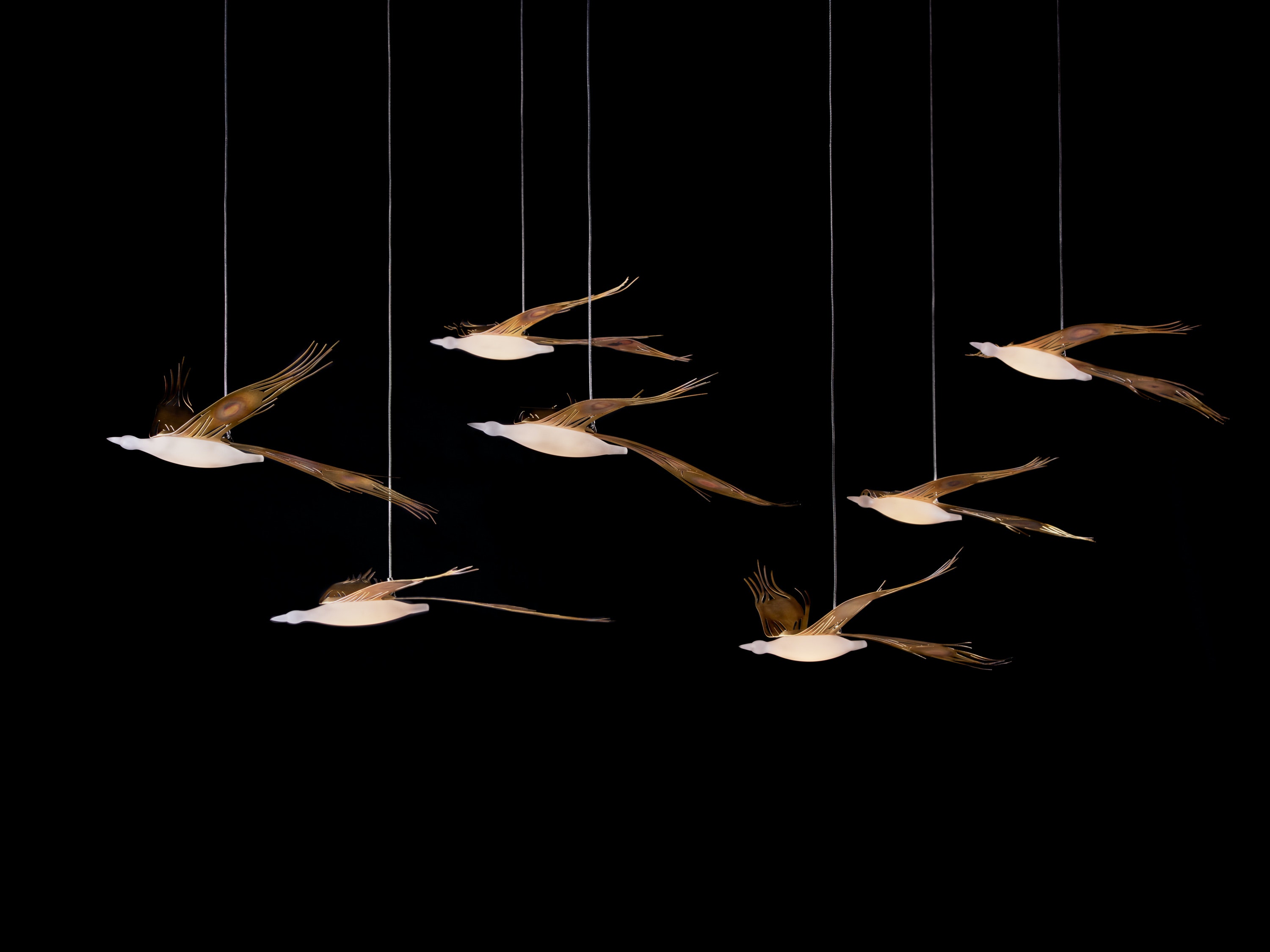 1656023535163 2007apssljc11h