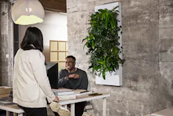 2021 02 24 Biome Office Img 0914 63d195b9ae9f6 2021 02 24 Biome Office Img 0914 63d195b9ae9f6