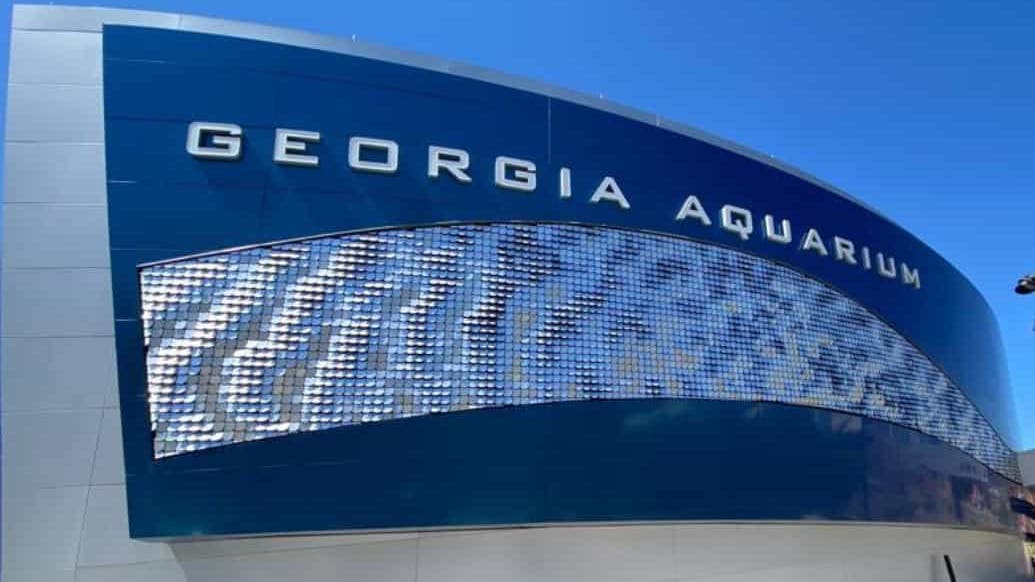 Kinetic Dynamic Wall