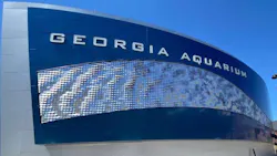 Kinetic Dynamic Wall Kinetic Dynamic Wall