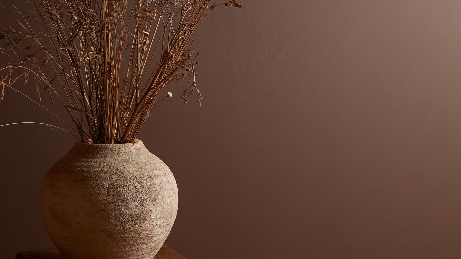 Elderton Brown Colo of the Year 2025 Graham & Brown