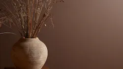 Elderton Brown Colo of the Year 2025 Graham & Brown Elderton Brown Colo of the Year 2025 Graham & Brown