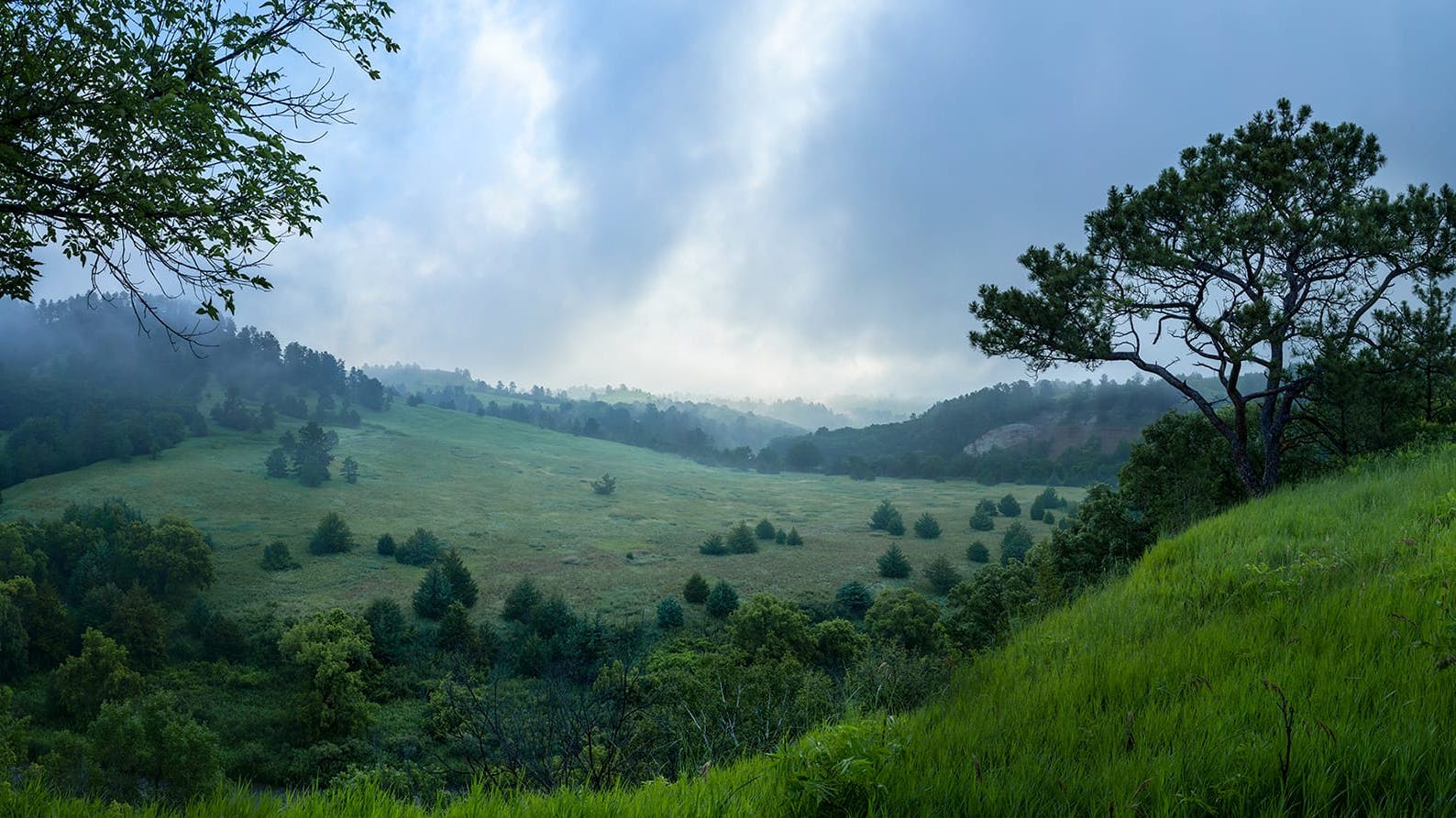 Midwest Collection from Sky Factory