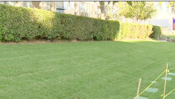 Newly installed grass at Emerson Middle School in Los Angeles has some neighbors upset