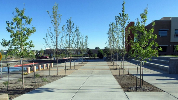 The main entry plaza at the new MontezumaCortez High School