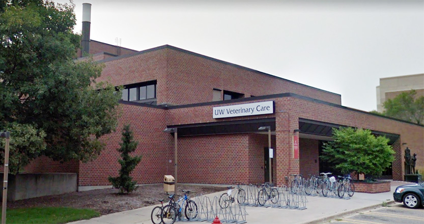 UWMadisonVet.jpg