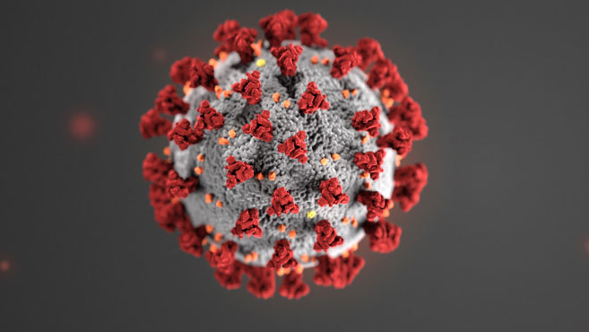 coronavirus