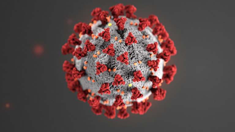 22 States Have Closed School Statewide Because Of The Coronavirus American School University 22 States Have Closed School Statewide Because Of The Coronavirus American School University