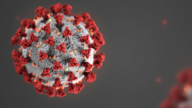 Coronavirus